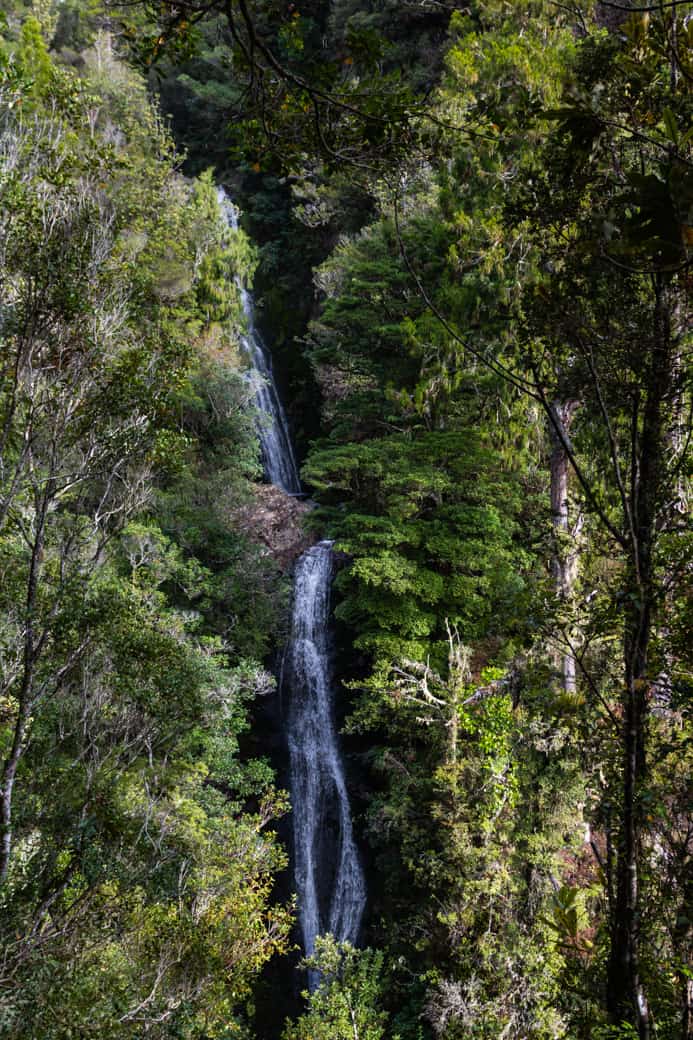 Wentworth falls