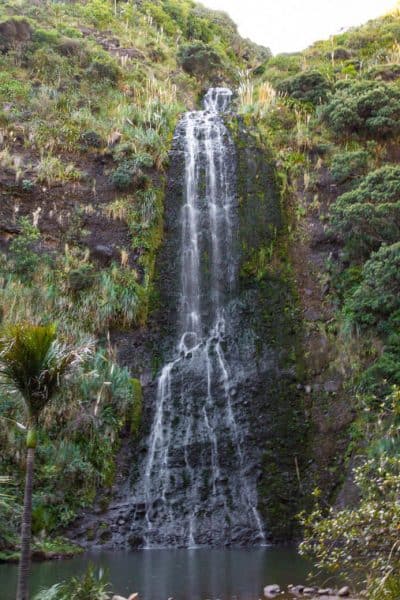 Waitakere ranges Karekare falls in Piha