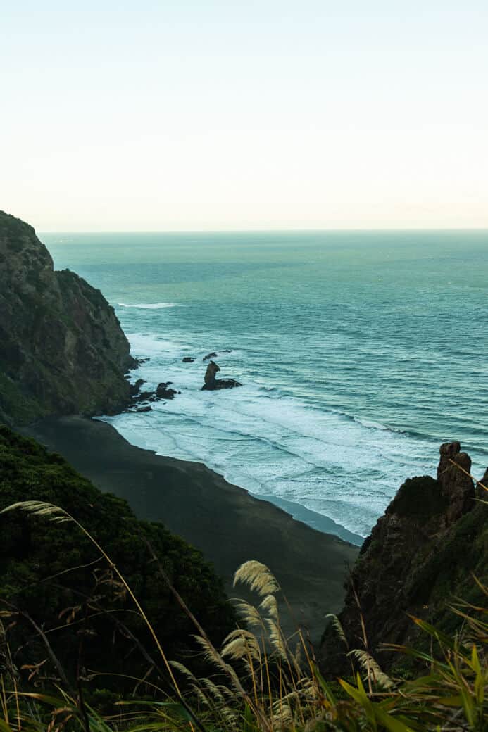Waitakere ranges Mercer bay track