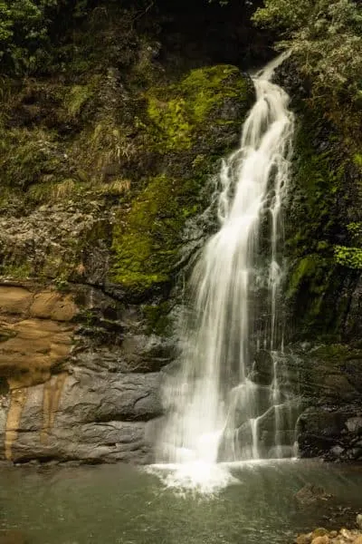 Piha Waterfall Walks And Beaches—new Zealand (2023)