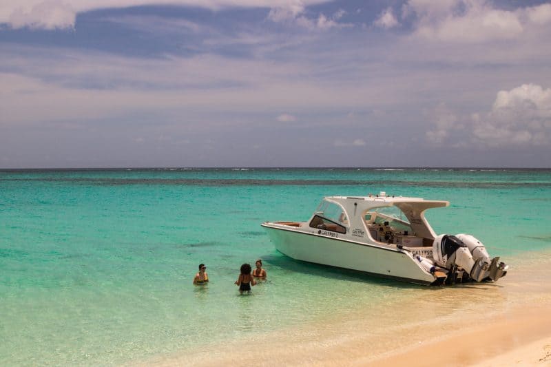 Boat prickly pear Anguilla