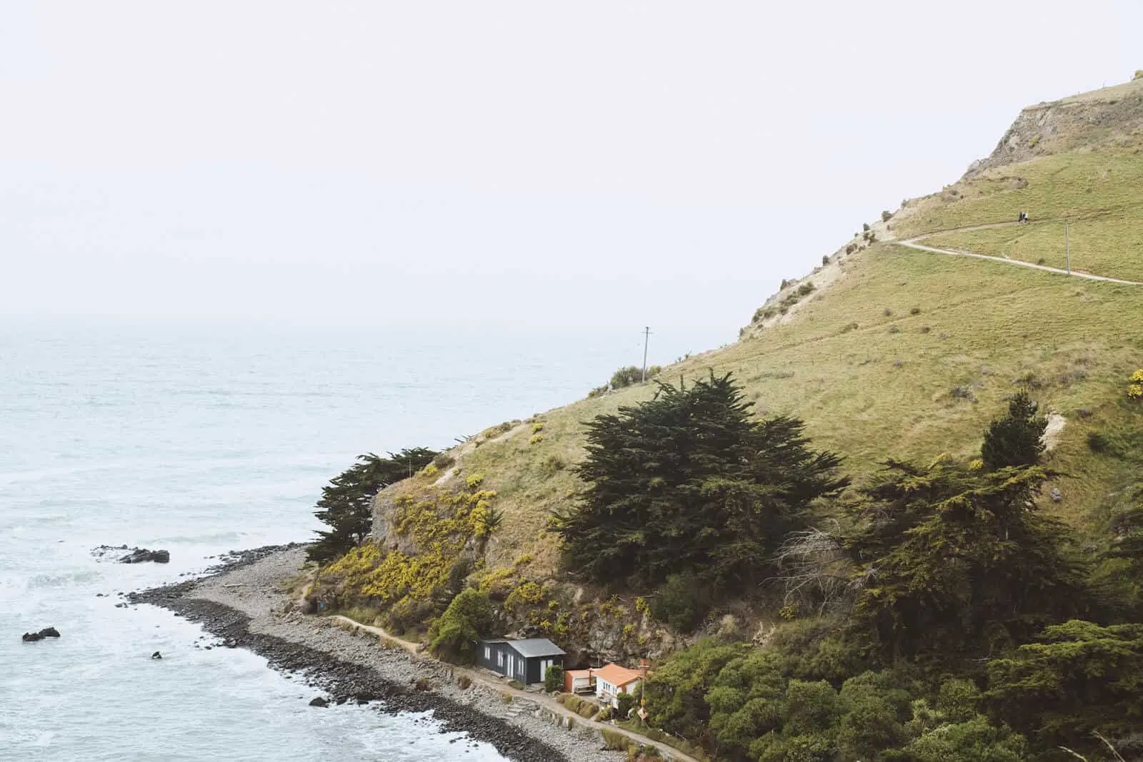 Godley Head Hike