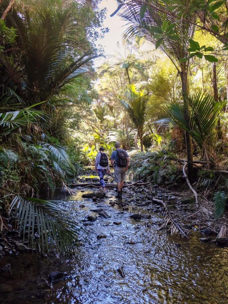 Goldie Bush walkway hike