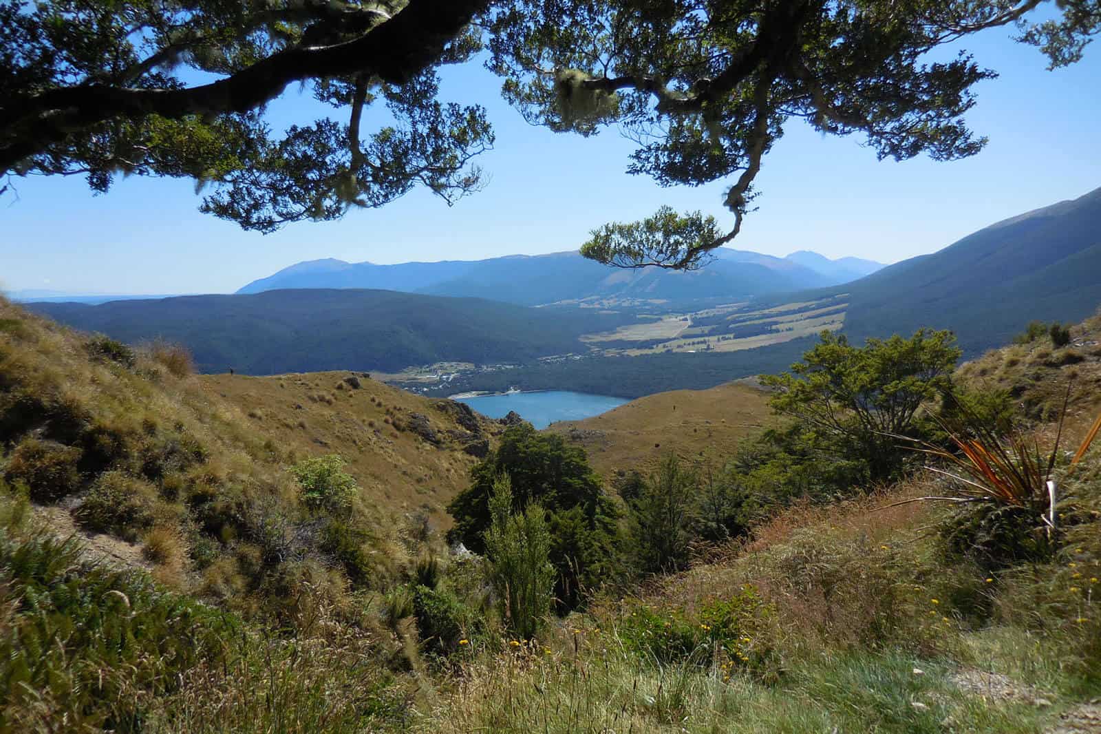 Mount Robert circuit view