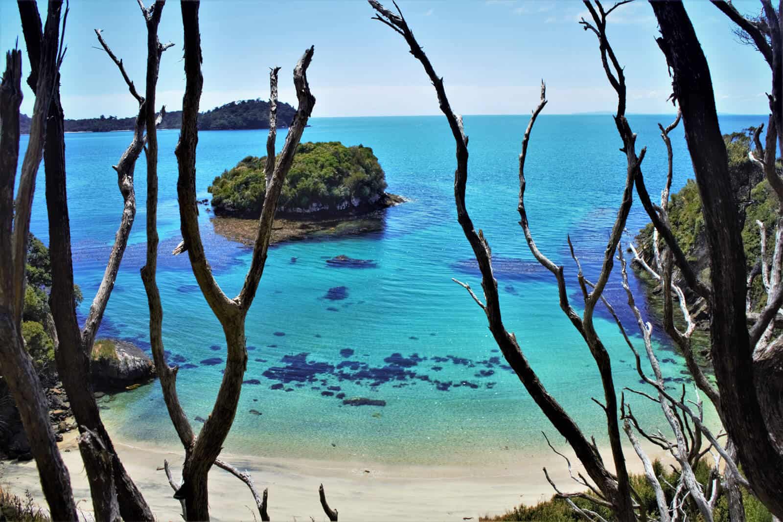 Stewart island views