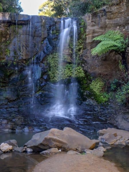 Goldie Bush walkway waterfall