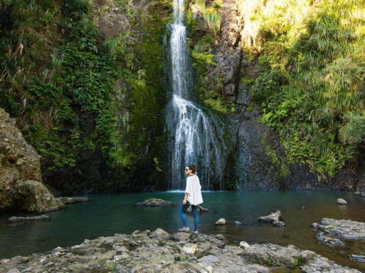 2-Week North Island, New Zealand Road Trip Itinerary