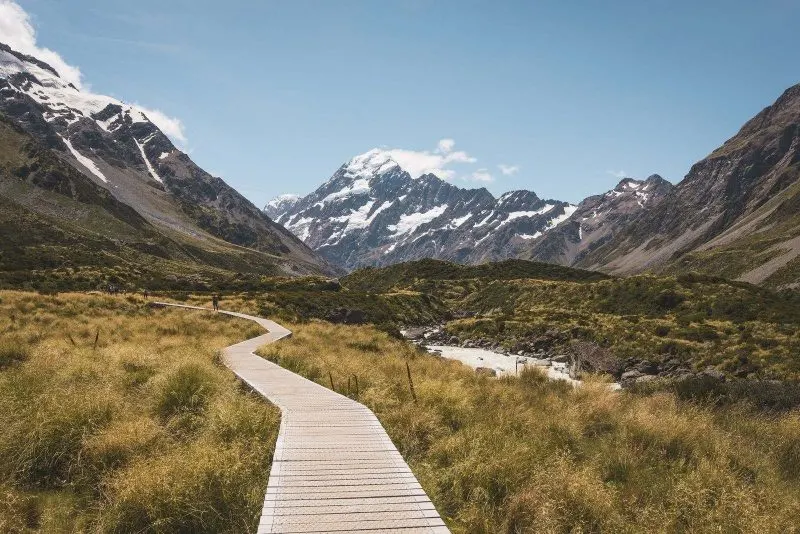 Once you master how to become a freelancer, you can work in pretty places like New Zealand.