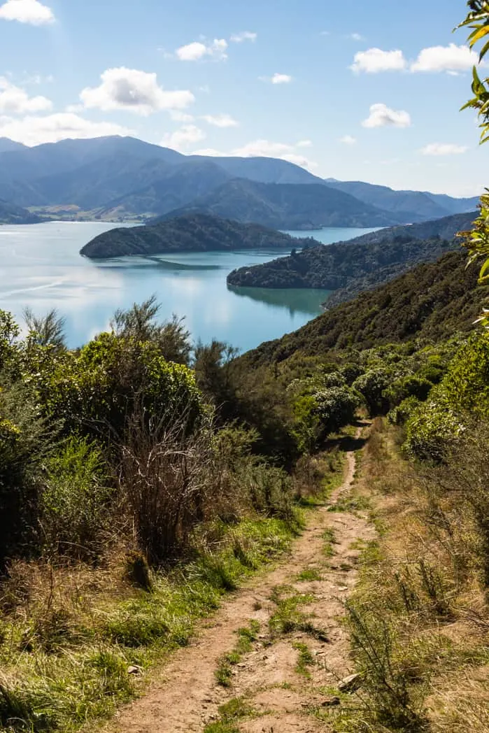 Queen Charlotte track view