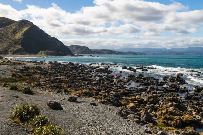 views in Wellington New Zealand