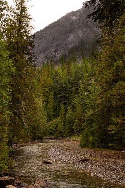 Boardwalk path offers a pristine forest on the trail in Cedars Glacier National Park