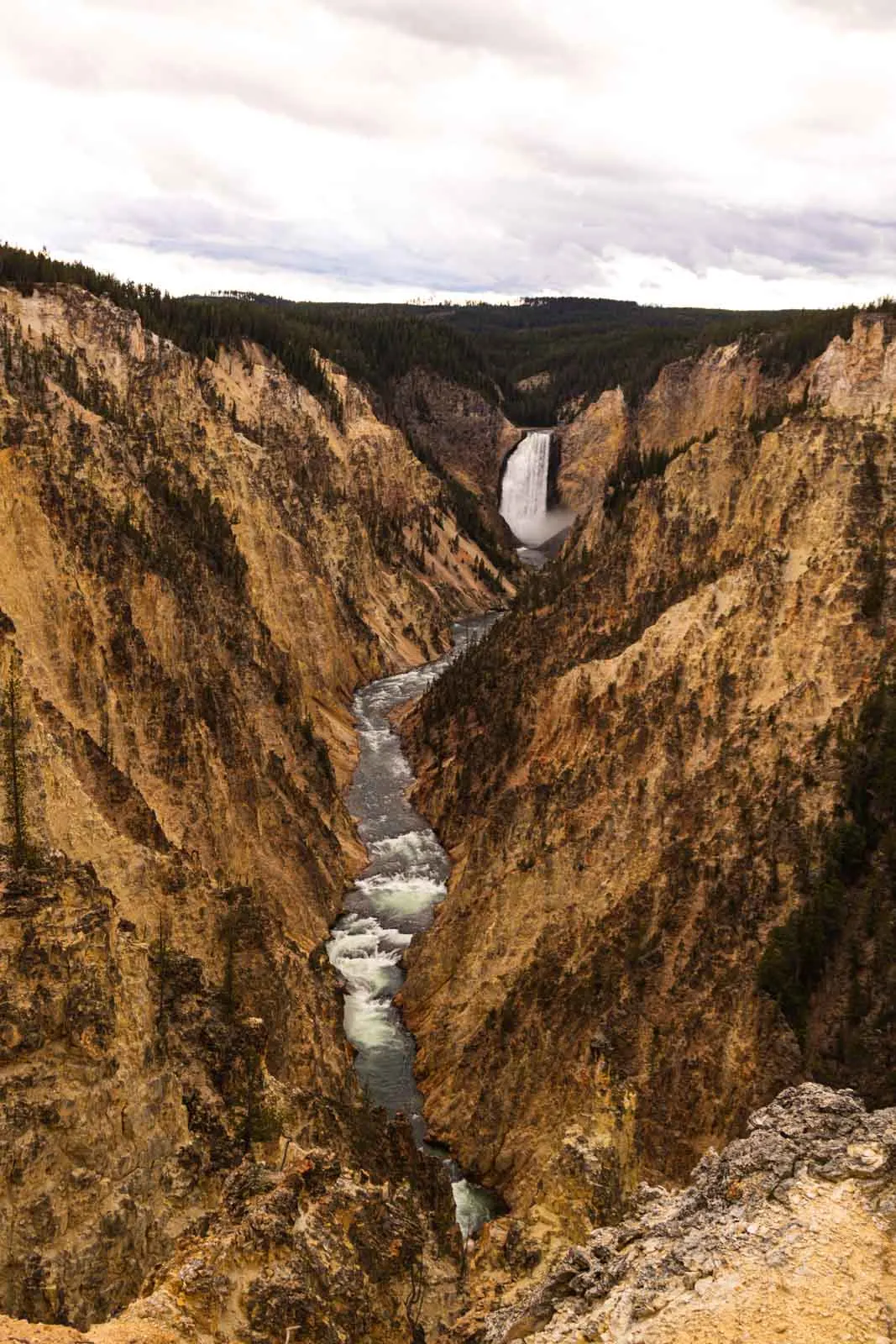 A view of Artist Lookout which is a must for any Yellowstone Itinerary