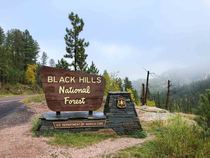 A view of Black Hills National Forest - another exciting thing to do around Rapid City