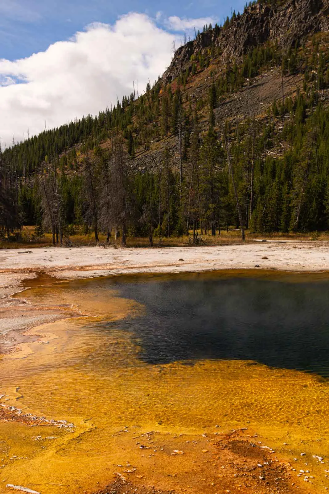 A view of Black Sand Basin - one of the many things to do in Yellowstone