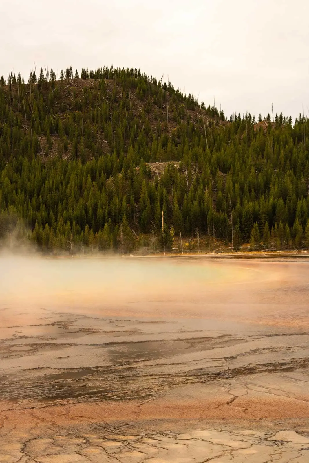 A view of Grand Prismatic from below is a must see on your Yellowstone itinerary