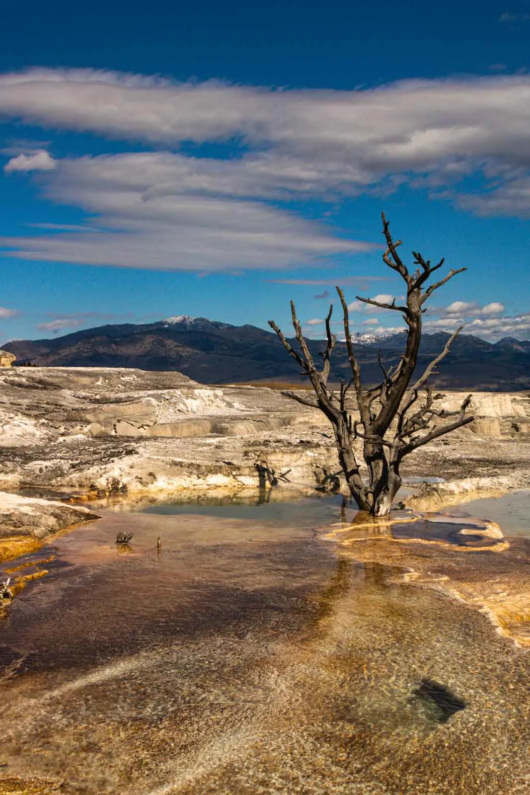 A view of Mammoth - one of the many things to do in Yellowstone