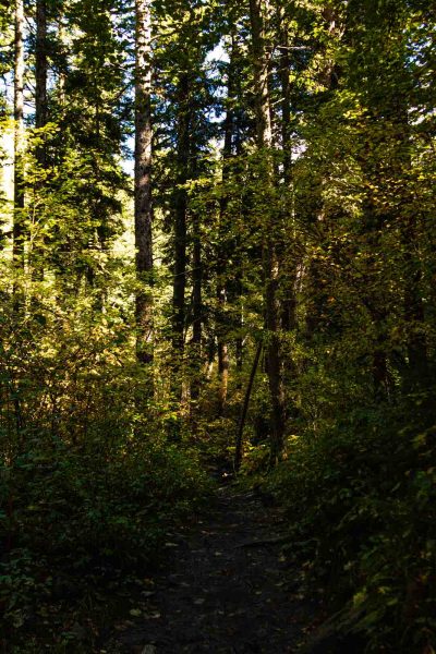 Don't forget Pine Creek Falls on your Montana road trip!