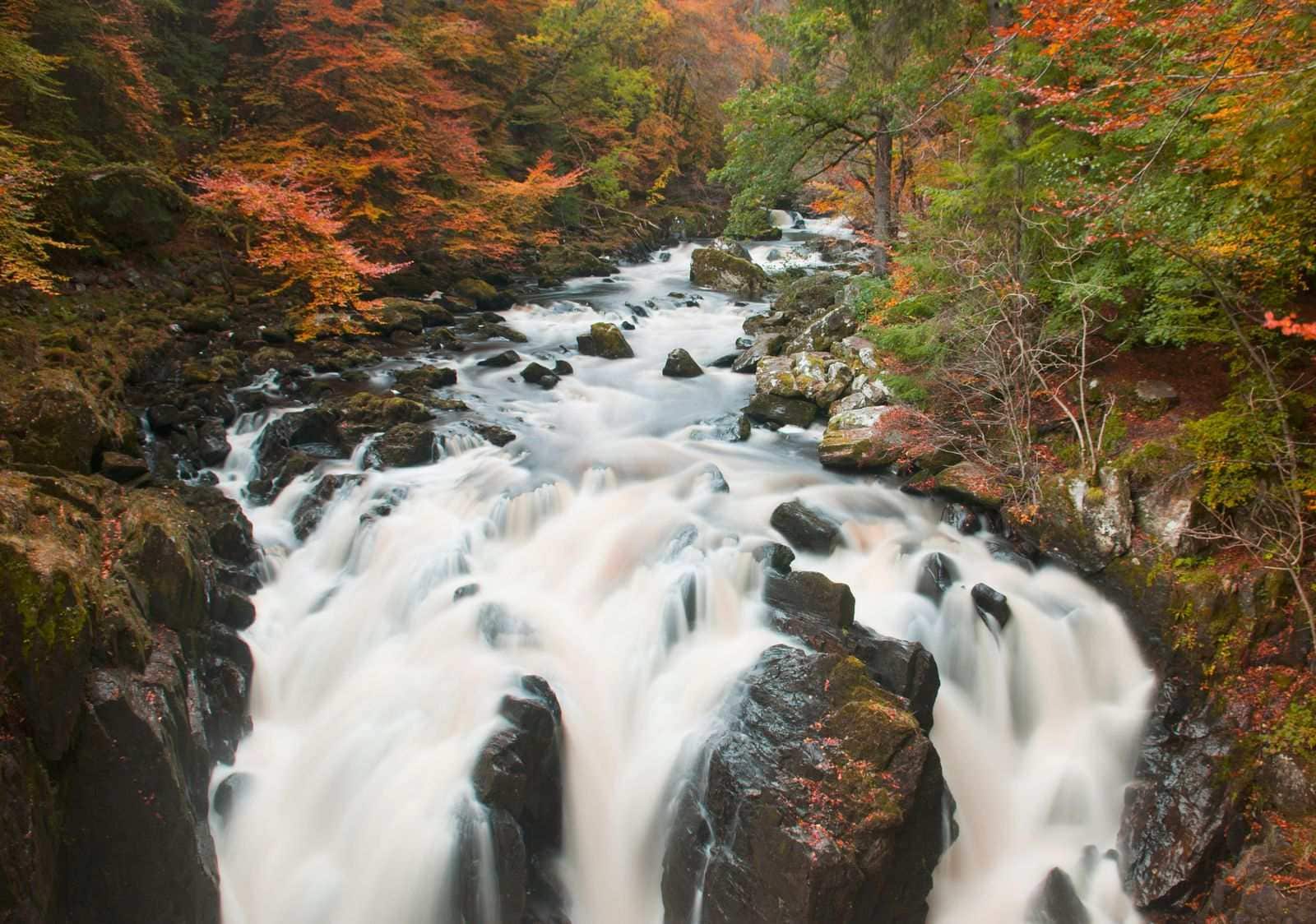 The Hermitage is a great place to stop in Scotland road trip