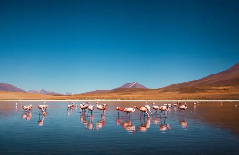 Bolivia is one of the cheapest countries to visit in South America.