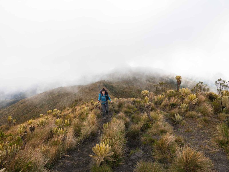 Paramillo del Quindio hiking up a mountain