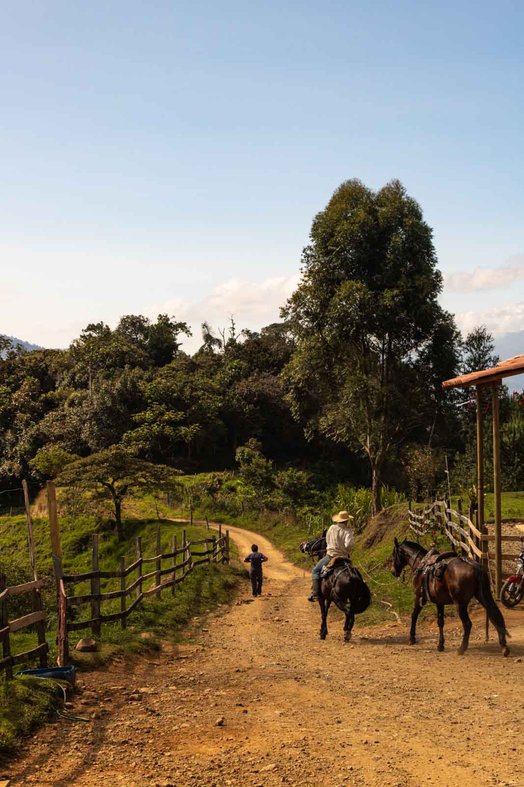 A horse trail in La Cueva del Esplendor.