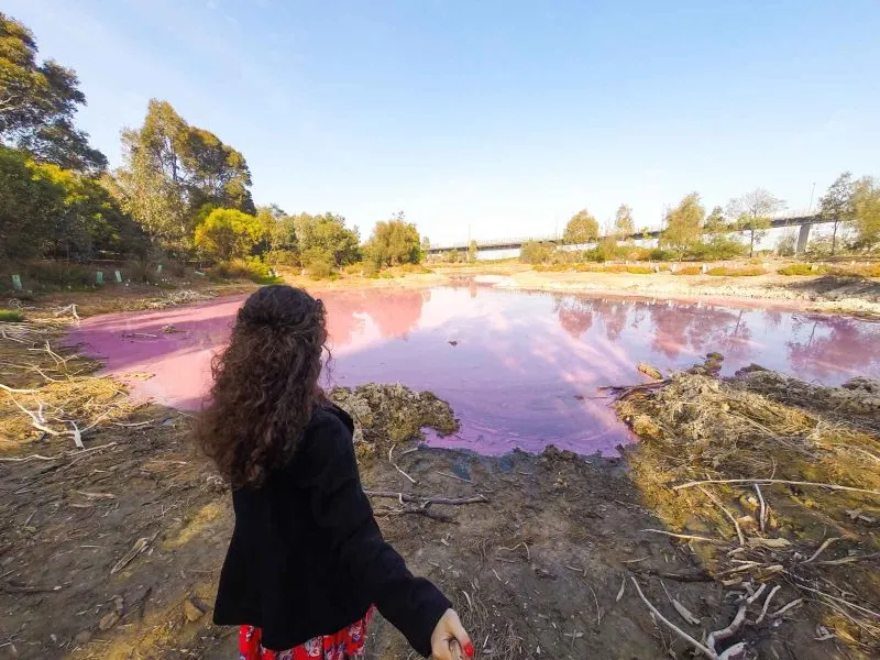 Watching Pink lake is one of the cheap things to do in Melbourne.