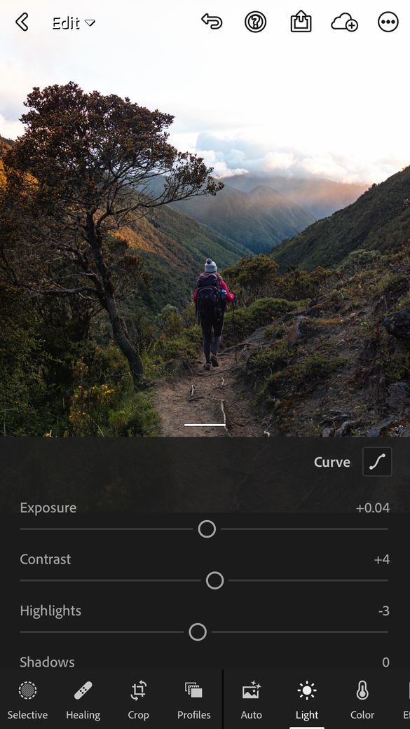 Lightroom is a free online tool to use to edit photos.