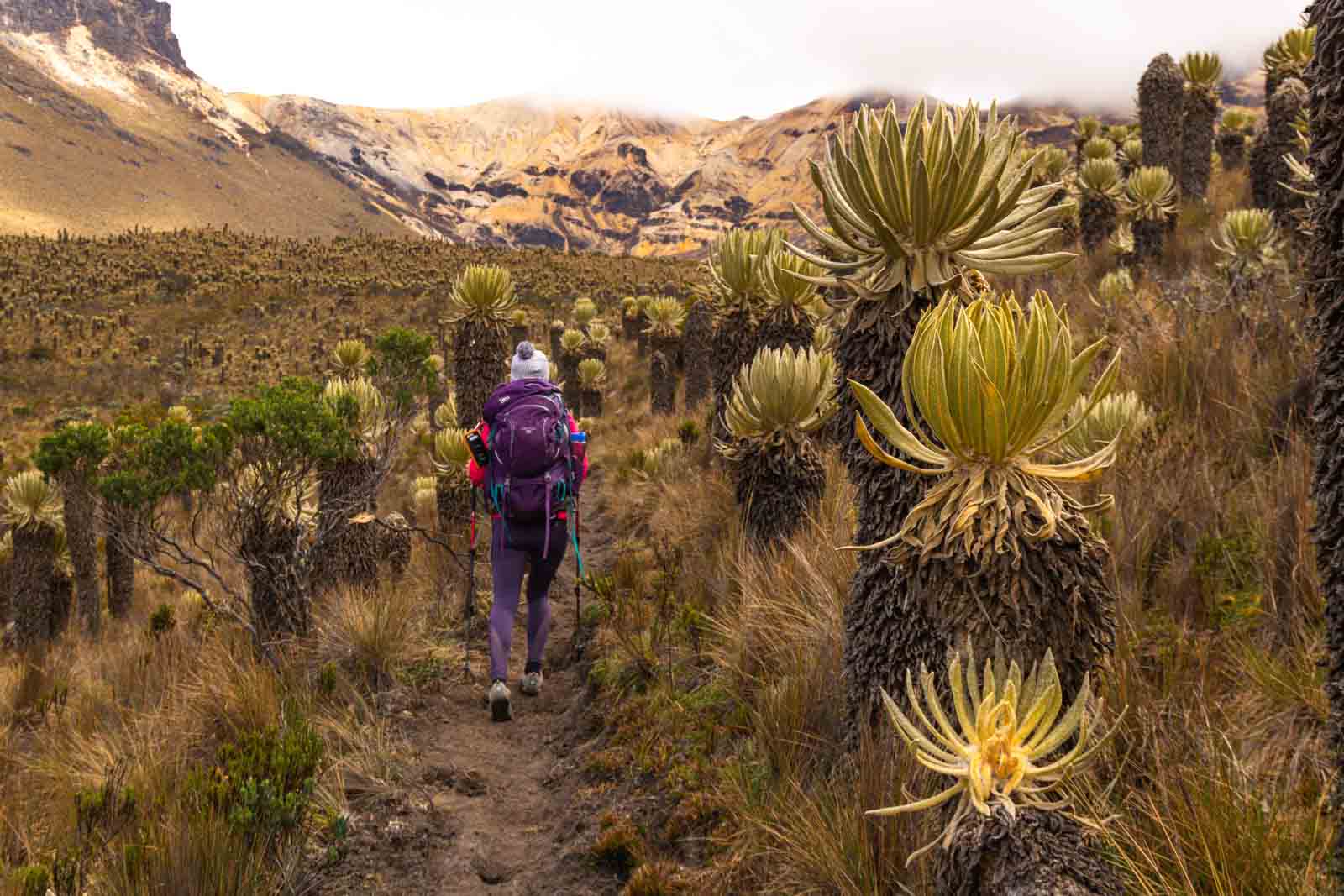 Jungle Trek, Multiday hike near Medellin