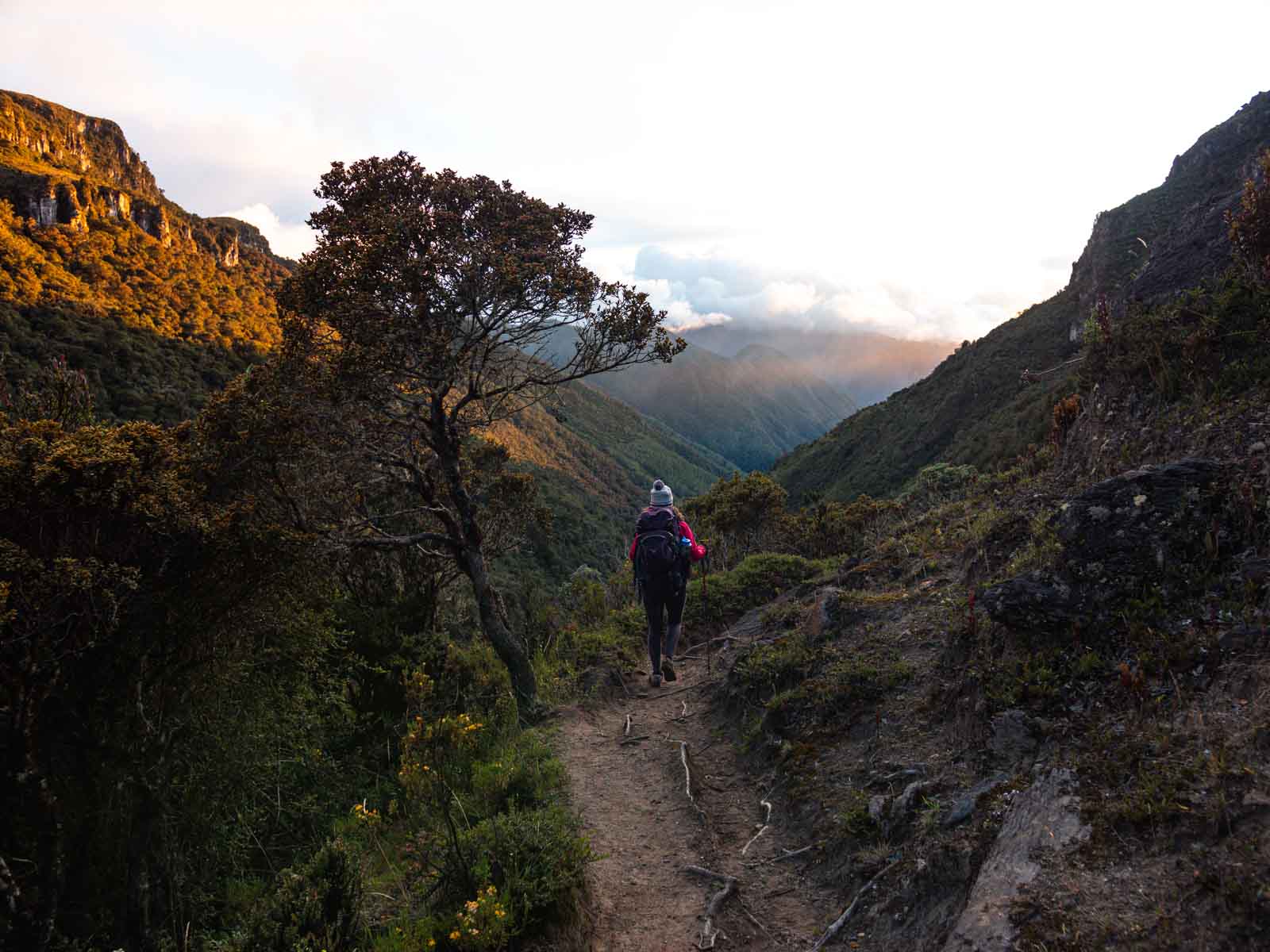 10 Best Trails and Hikes in Quindío