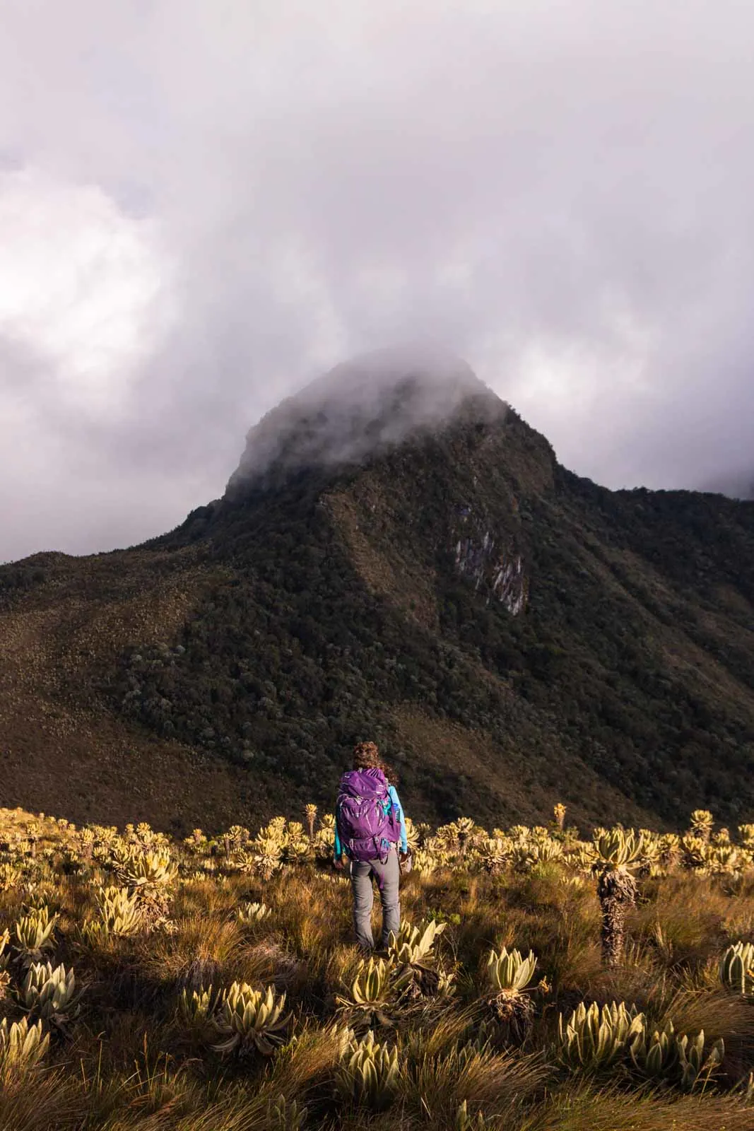 Paramillo del Quindio is a perfect hike in the Los Nevados National Park.