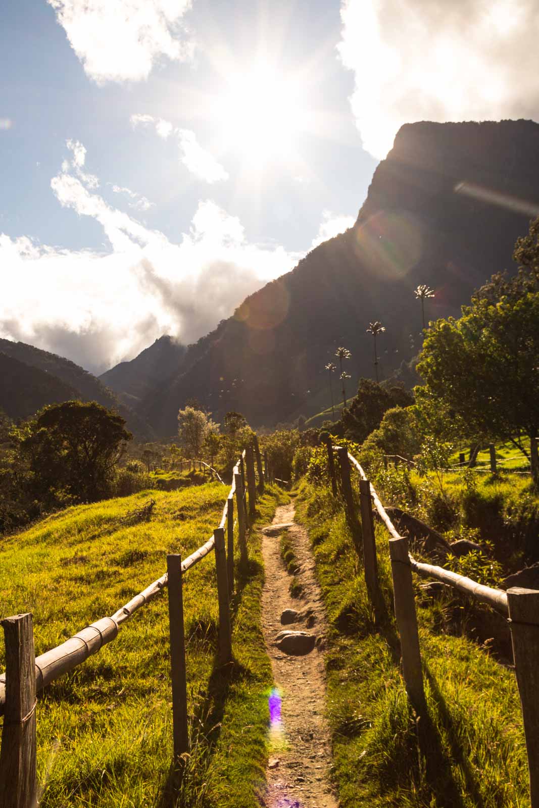 There are so many beautiful paths on the Los Nevados trek.