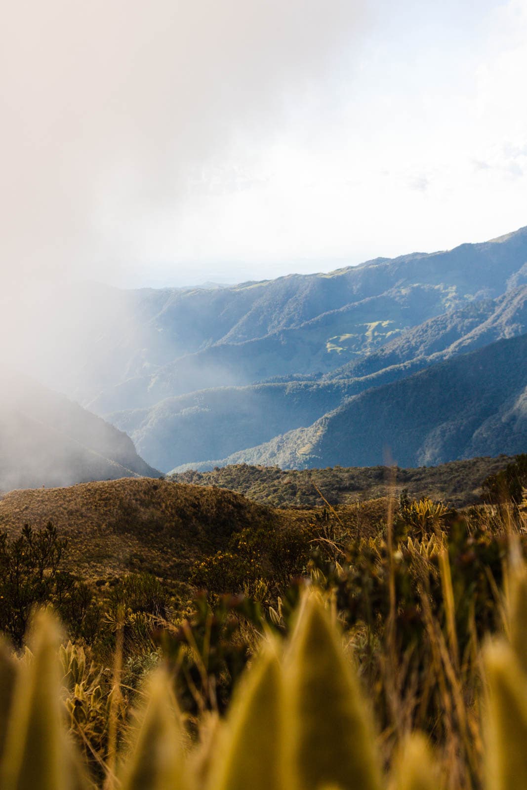 We did an epic three day Los Nevados trek through landscapes we didn't even think existed in Colombia.