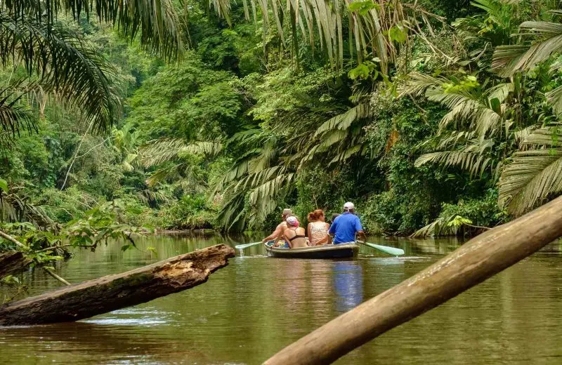 Are you looking for things to do in Puerto Limon? Add Tortuguero National Park to your list.