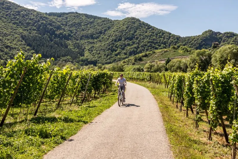 Ahr Valley is a popular wine destination to stop at on your road trip in Germany.