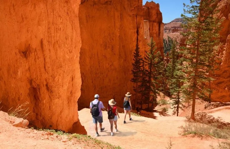 A gorgeous landscape you have to see on your Utah road trip is Bryce Canyon National Park.