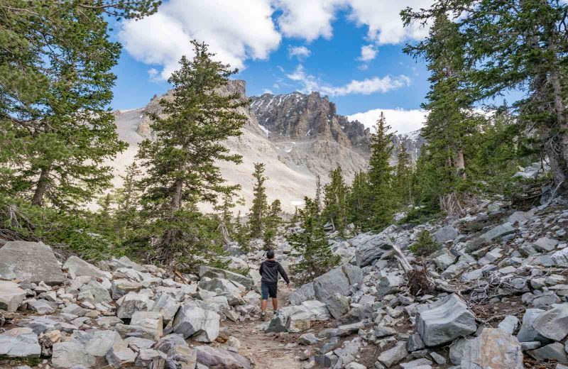 Great Basin National Park is a gorgeous stop on your Nevada road trip.