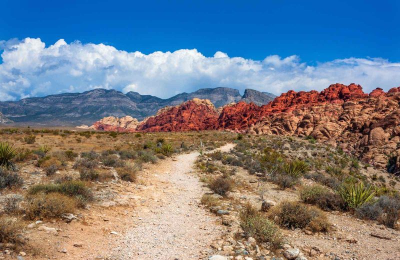 Be sure to take advantage of the hiking at Red Rock State Park on your Nevada road trip.