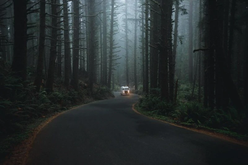 Lucy VW van on misty road