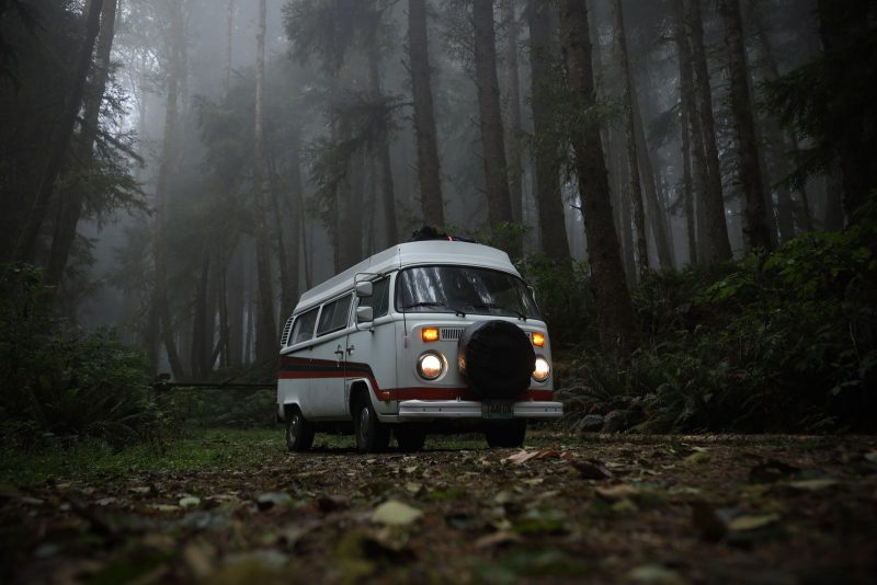 Lucy, our old school VW Bus that's while with a pinstripe in a foggy forest in Oregon