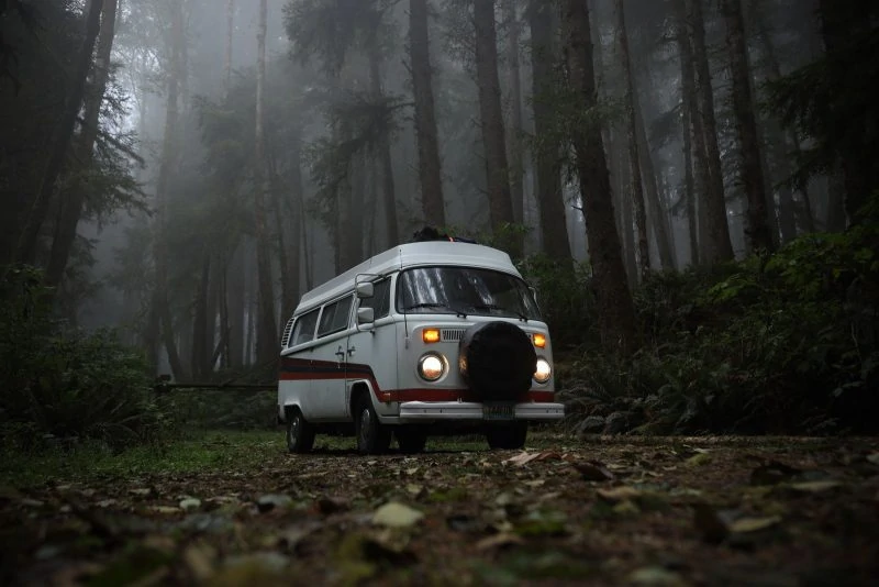 Hop into a VW van to see stunning scenery on your travels when planning a trip.