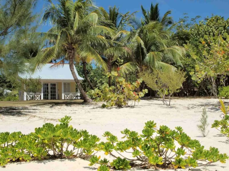 Beach hut on beach surrounded by palm trees in Cayman Islands