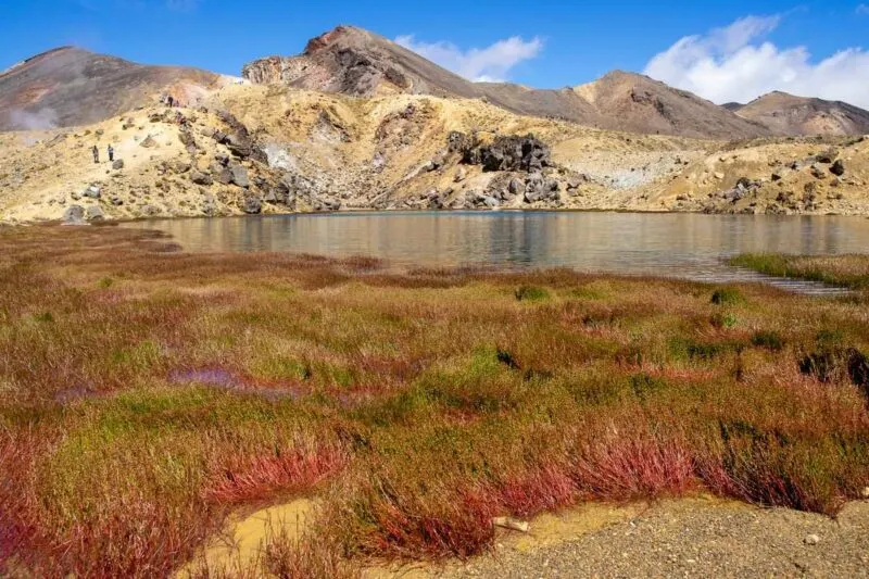 Lake with colorful grasses in foreground and rocky hill in background on the Tongariro Alpine Crossing hike