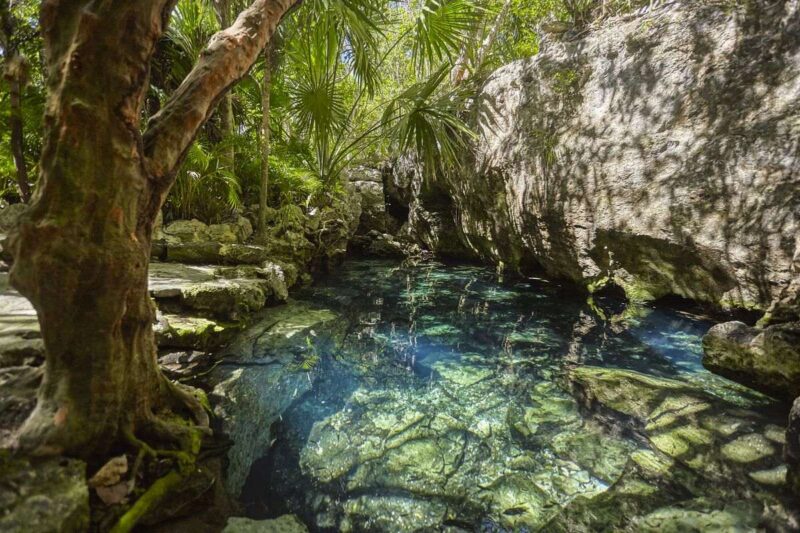 Cenote Azul pool with trees around it in the Yucatan, Mexico