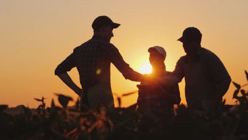 Three people in shadow with sun setting behind them - working on farms is a great way to get a job abroad
