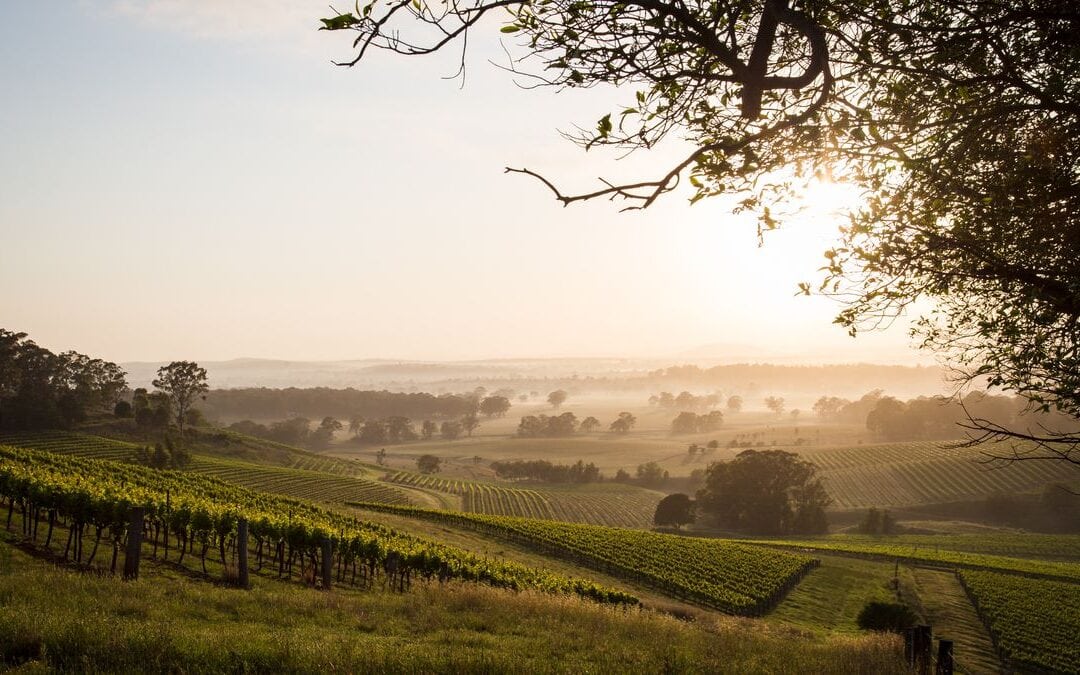 How To Complete Farm Work In Australia Extend Your Work Visa Where 