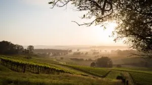 Farm work in Australia