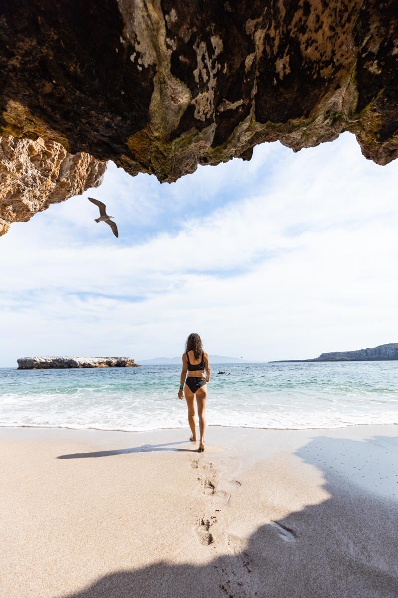 Woman walking on beach with seagull flying above on Marieta Islands near Sayulita