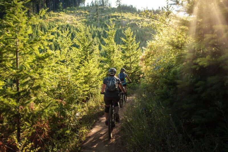 Two mountain bikers on trail through forest near Cairns