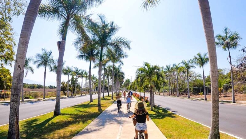 People biking on path past palm trees in Puerto Vallarta - taking a day trip there is one of the things to do in Sayulita