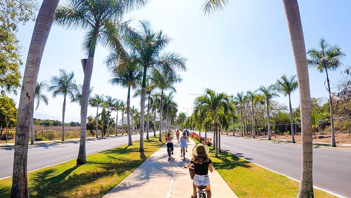 People biking on path past palm trees in Puerto Vallarta.